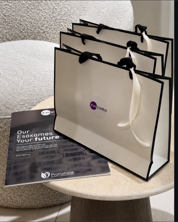 Bolsas de ExoCoBio con cintas negras y un compendio impreso sobre una mesa de piedra